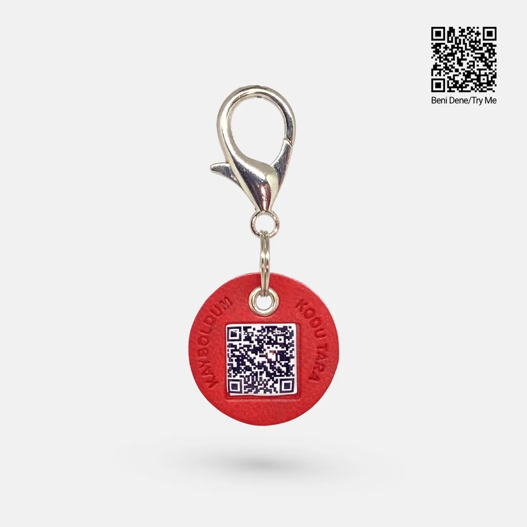 FLİPY QR KODLU KEDİ BOYUN TASMASI*5